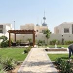 تنسيق حدائق فى الكويت