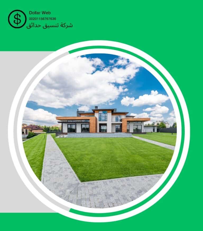 شركة تركيب النجيلة بالكويت
